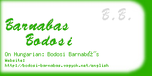 barnabas bodosi business card